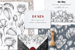 Download Sketched Roses Patterns Frames - Frames Collection